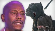 Tyrese Wanted by Cops After His Dogs Maul Neighbor's Pet to Death in Atlanta