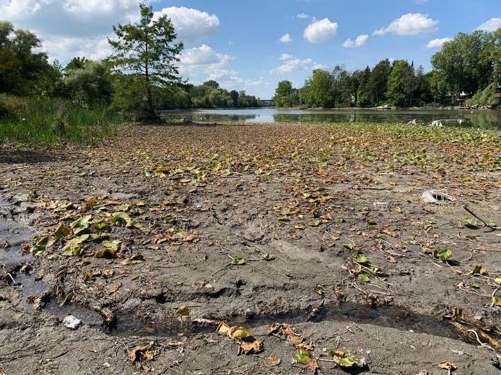 Lack of rain has big impact on Waterford ponds