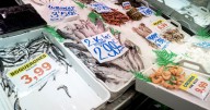 El PP reivindica en el Congreso las pescaderías tradicionales y urge al Gobierno a protegerlas