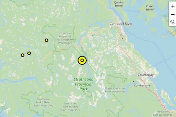 Small wildfire discovered in Strathcona Provincial Park Friday 'being held'