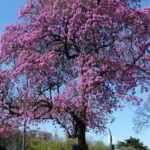 Según los últimos informes del SMN el invierno...