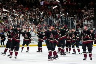 Group aims to bring hockey back to Arizona