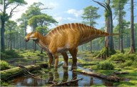 New duck-billed dinosaur species identified in northwest New Mexico