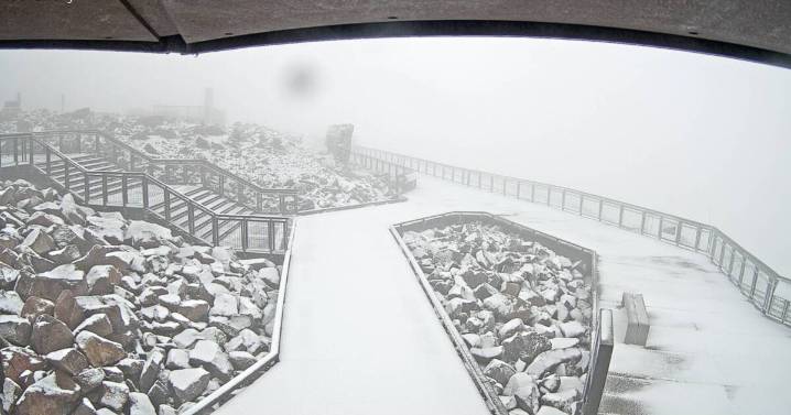 Summer snow in Colorado? Yep, that’s a thing – especially if you’re in the higher elevations