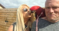 Jealous parrot escapes after owner gets new bird – then tells him to f*** off from tree
