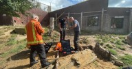 Fire crews responds to zoo after wolves dig through enclosure