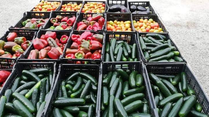 Banco de Alimentos de Culiacán contará con nueva sede para apoyar a 200 mil beneficiarios