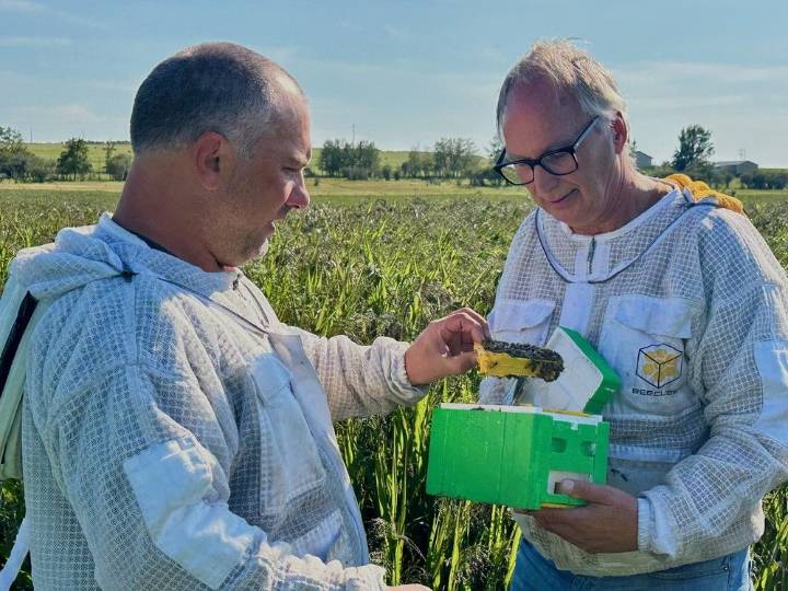 Beekeeping revolution happening near Calgary