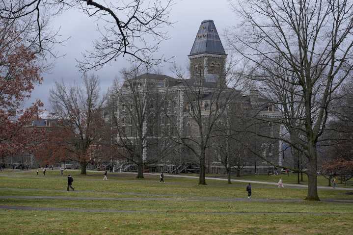 Students at Ivy League school kill bear, then skin it inside their dorm