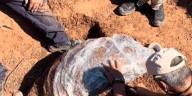 Recuperaron restos fósiles de un gliptodonte en Entre Ríos tras ocho horas de trabajo