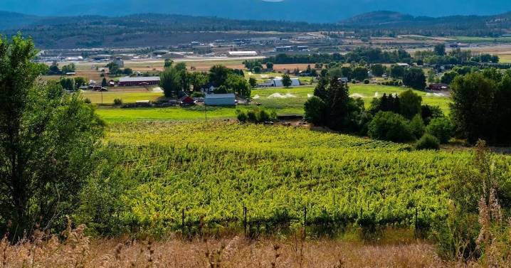 Farming in the city has its challenges