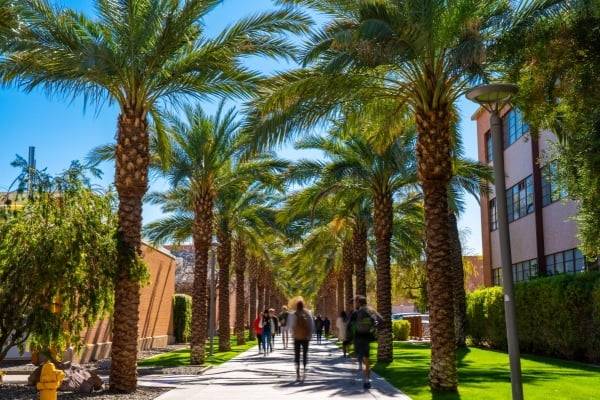 ASU Police Reportedly Assisted DHS With Arrest