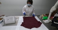How a Hennepin County lab builds DNA profiles to help investigators solve crimes