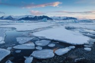 Científicos han detectado el ADN de una especie marina invasora en el Ártico canadiense