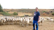 Máximo Mateos, agricultor y ganadero: "Cobro la leche al mismo precio que lo hacía mi padre"