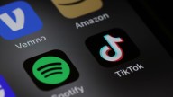 TikTok won’t be banished. Its fate could be much worse