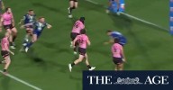 Panthers slice through Warriors defence