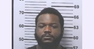 Wilmer man charged with horse abuse