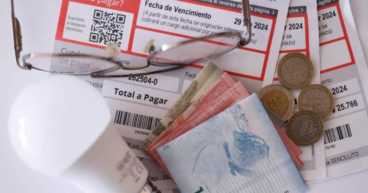 Revisa los resultados del Subsidio Eléctrico con el RUT y el monto asignado por familia