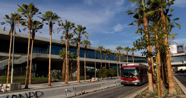 L.A. desperately needs more shade. So why were 77 palm trees planted near LACMA?
