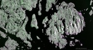 First images from NASA-ISRO's NISAR show forests, wetlands, islets in US in greater detail