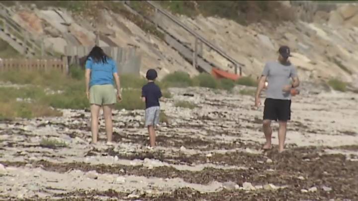 Shark sightings close 2 Plymouth beaches
