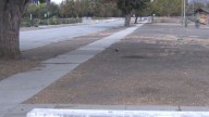 Columbus Park restaurando tras desalojo de desamparados en San José