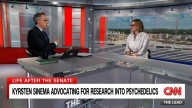 Kyrsten Sinema on treating traumatic brain injury with psychedelics