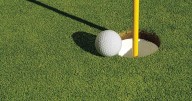 Lamb leads Wolverines golfers at Falls Classic