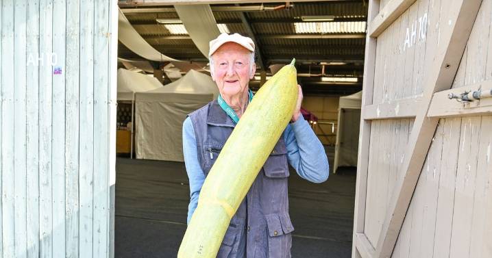 UK National Giant Vegetables Championships to break records in 'very difficult growing year'