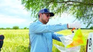 Descartan haya gusano barrenador en Nuevo Laredo y la región
