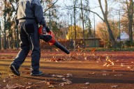 Regresa otoño y con él vuelve el debate sobre los sopladores de hojas a gasolina: ¿en qué zonas de Estados Unidos están prohibidos?