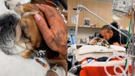 “No sabemos si va a despertar de esto”: el dolor de Lewis Hamilton al revelar que su perro Roscoe está en coma