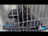 Changes at Charlotte Mecklenburg Animal Care & Control lead to big impact