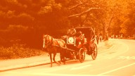 ‘The horse guys hate to see me coming,’: Viral TikTokers are taking on Central Park’s horse