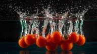 Tomates antisequía: el milagro de científicos que mejora su resistencia