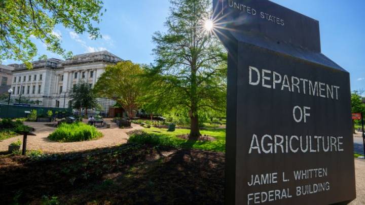 Trump administration puts hunger researchers on leave after canceling food insecurity report