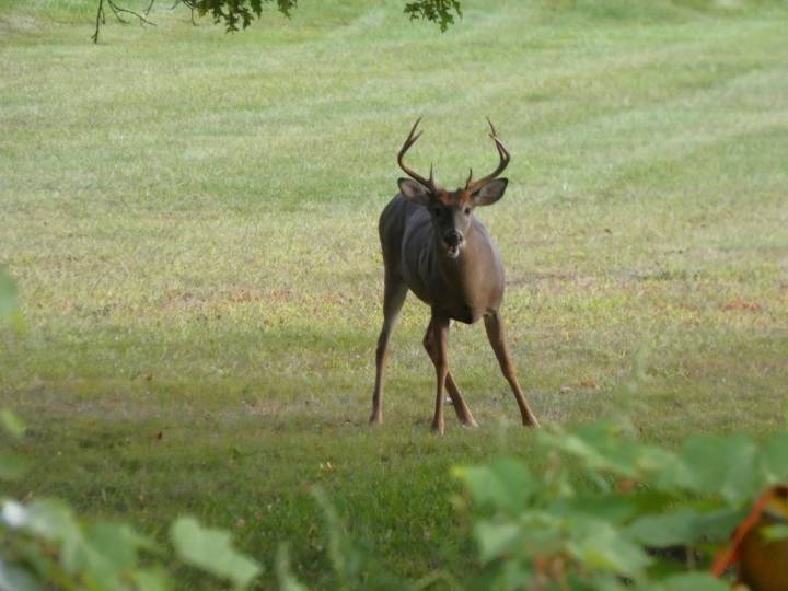 What’s happening in the Mid-Hudson Valley: Sept. 20, 2025