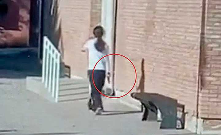 Adolescente entró armada al colegio y disparó