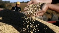 El Gobierno ya cerró la quita de retenciones por llegar al cupo de US$7.000 millones
