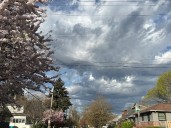 Chance of showers continues for Portland, but drier weather is coming