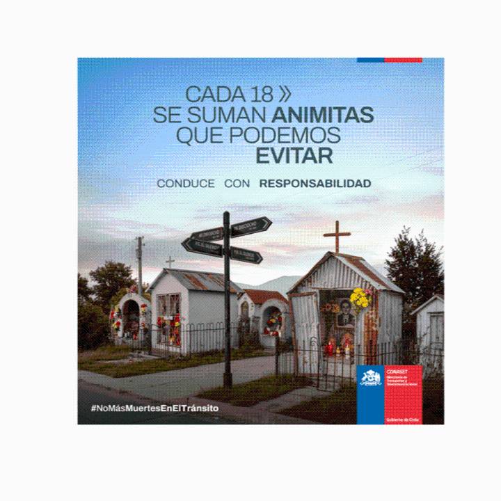 El lugar en que nadie debería estar: “El Silencio”, el 1er pueblo formado por animitas