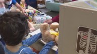 Bear hugs and healing: Teddy Bear Clinic at MD Anderson Children's Cancer Hospital