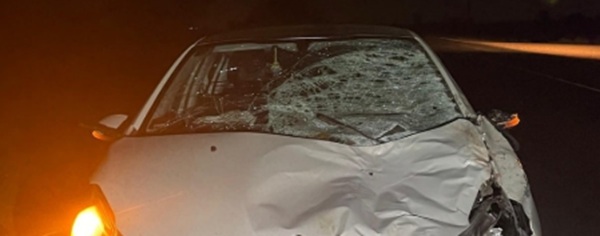CORZUELA: Un Auto Embistió A Un Caballo En Ruta  89