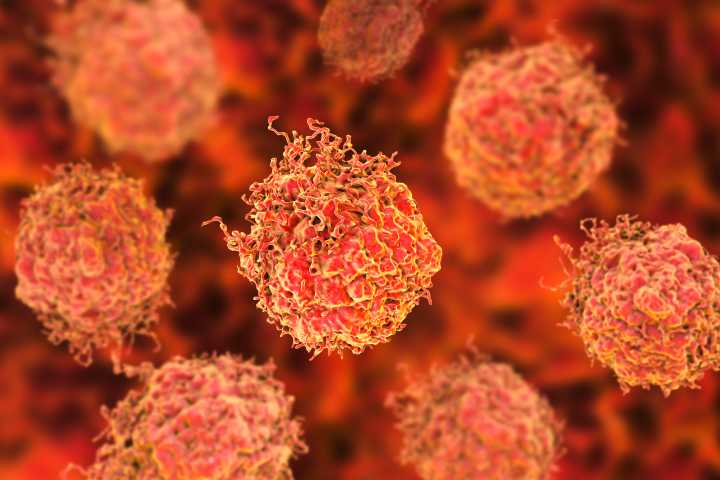 Mouse Prostate Cellular Map Could Inform New Therapies for Resistant Cancer