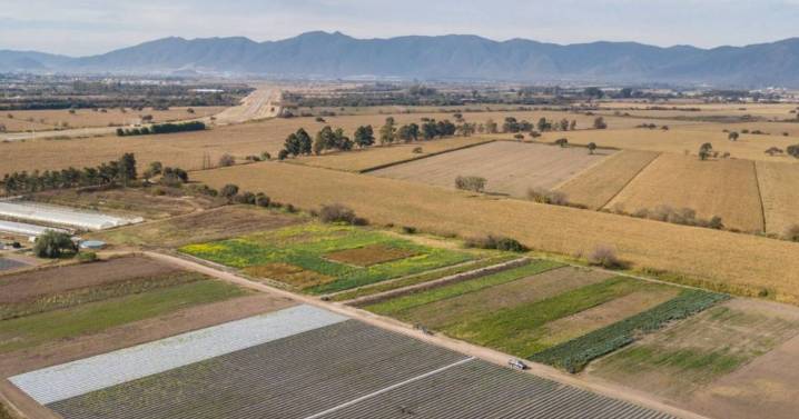 Nación desafectó tierras del INTA Cerrillos con destino habitacional