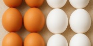 Cuántos huevos se debe comer al día sin que afecte los niveles de colesterol y la salud del corazón