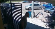 VIDEO: Comandante de la AEI atacado a balazos en Nuevo Casas Grandes, Chihuahua