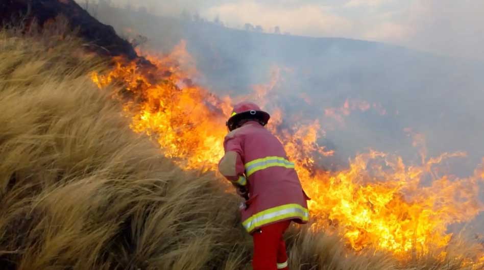 Incendios forestales son extinguidos en Puno, Cusco, Arequipa, Tumbes y Cajamarca