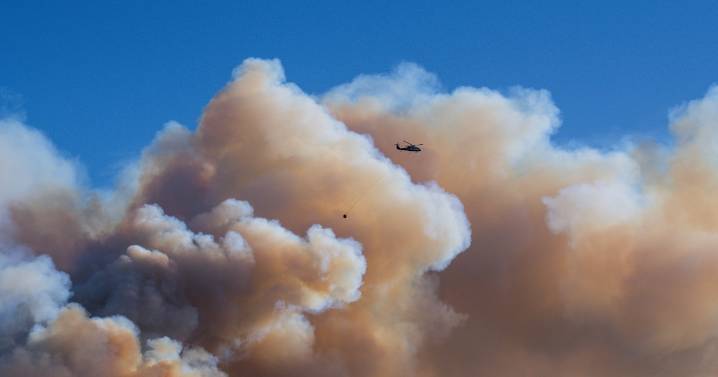 Scientists predict wildfire smoke will be the most costly climate
